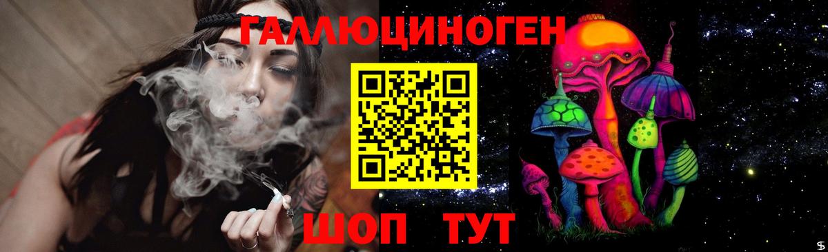 Ефремов  сколько стоит  Вход с VPN  Псилоцибиновые грибы мухоморы 